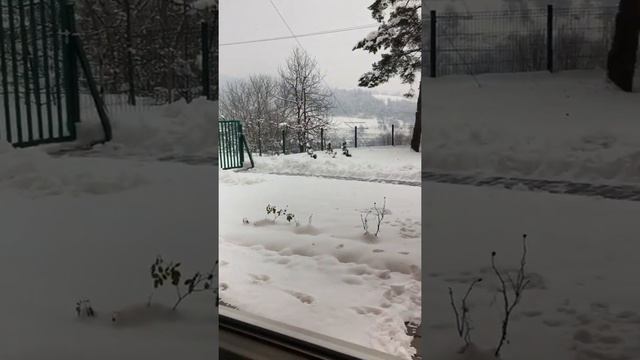 الروضة للسياحة والعقارات (عقار-سياحة-إستثمار) البوسنه - سراييفو 🇦🇪+971506634500 🇧🇦+38762134950 смотреть онлайн