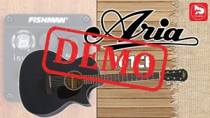 Электроакустика ARIA 101CE - демонстрация звучания