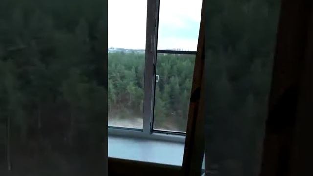 Зеленко 22А Воронеж смотреть онлайн