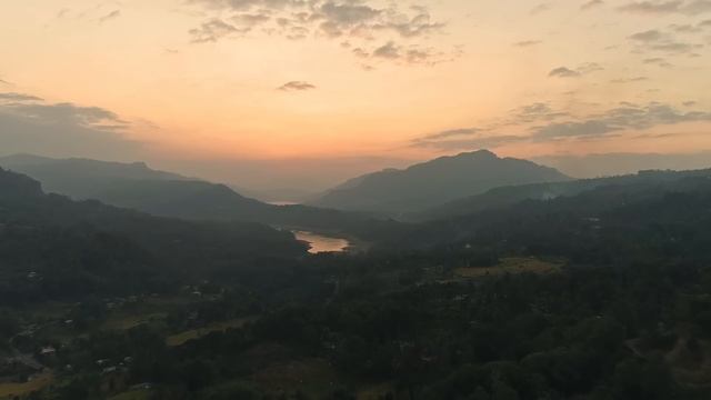 Sri Lanka - Découverte des plantations de thé - Civilisation - Documentaire - AMP смотреть онлайн