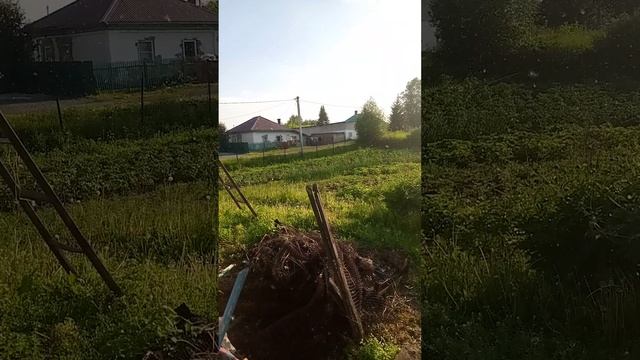 аномальное лето #пух тополиный #новости Кузбасс снег смотреть онлайн