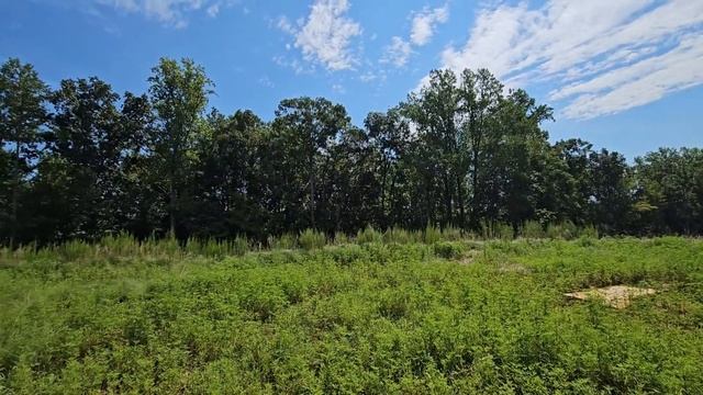 Стройка в Южной Каролине/Проверка  ПРОЭКТА для моих клиентов/Скидка от Застройщика $20,000/REZNIK 🏠 смотреть онлайн