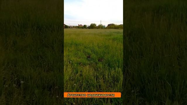 ст Каневская/ новый пос Западный/ Обзоры/ Переезд на Юг/ #  #недвижимость #краснодарскийкрай #short