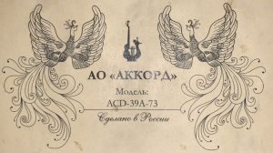 Гитара Аккорд ACD 39A 73 - 7 струнная - Мой костёр