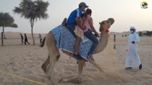 Arabian Desert safari Abu Dhabi, UAE