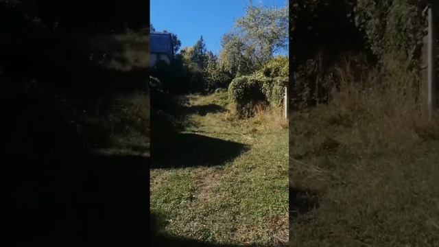 ПРОДАМ УЧАСТОК❗️❗️❗️Полное видео уже на канале 👇🏽 смотреть онлайн