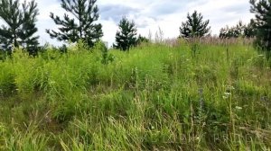 Бракованная жизнь. Рассказ