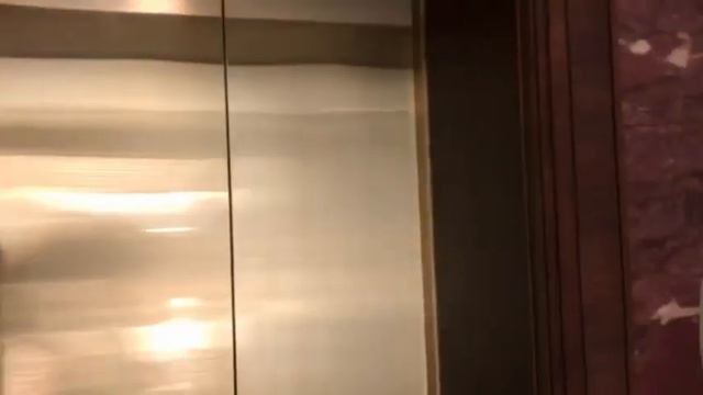 1-я Рыбинская,3 с1, аренда, 1260 м2, 2550 м2, 5120 м2, лот 54000, 45452, 28137. смотреть онлайн