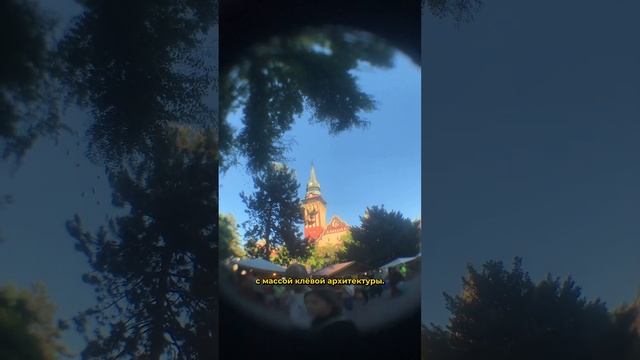 Хочу купить дом в Сербии и получить ВНЖ, День 50 #vlog смотреть онлайн