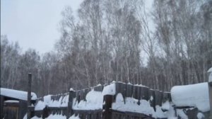 Ещё о зиме в Сибири.  More about winter in Siberia