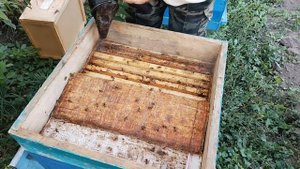 Наращивание пчел к зиме 19 08 23