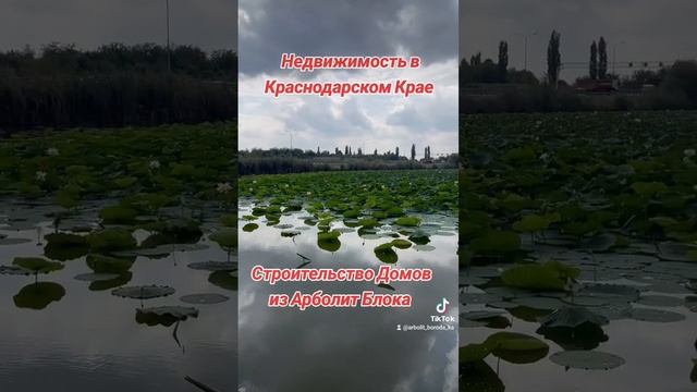 #недвижимость #недвижимостьканевская #недвижимостьканевскойрайон #недвижимостькраснодар #8918692245
