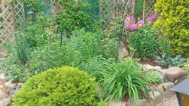 САД ЛЮДМИЛЫ-ИЮНЬ 2024 г смотреть онлайн