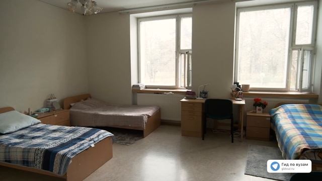 Солнечное общежитие | НМИЦ им. В.А. Алмазова