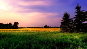 "Куда намылилась? Выплатишь кредит за дом моей мамы и вали куда хочешь!" Брызгал слюной муженек...