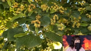 - Дорогая, тебе придётся освободить квартиру для сестры - падчерица в шоке смотрела на мачеху...