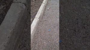 ТЕСТ УНИВЕРСАЛЬНЫХ КЛЮЧЕЙ