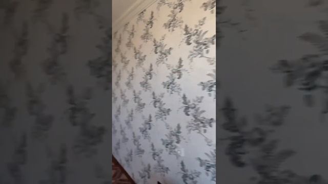 Трехкомнатная квартира на Карбышева 9 Экспресс обзор смотреть онлайн