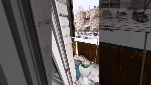 17 декабря 2023 г. смотреть онлайн