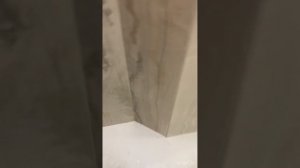 Уровень качества наглядно укладки плитки за 1400 рублей квадратный метр на примере