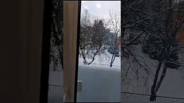Двухкомнатная квартира в Сертолово