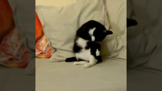 Веселая и смешная девочка Твигги 1 год дома смотреть онлайн