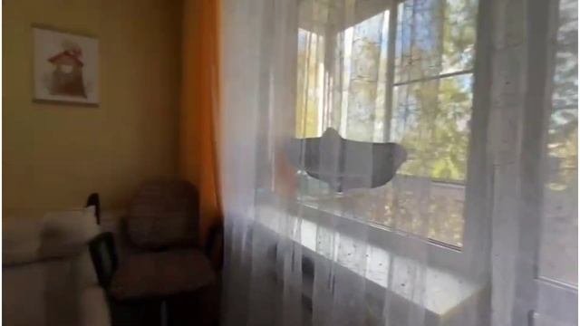 Парковая 10