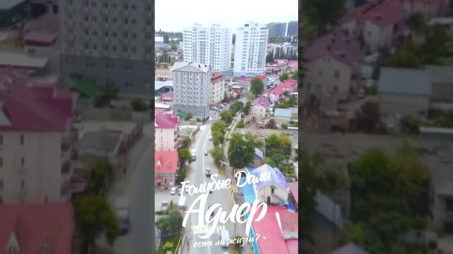 КОМУ ГОЛУБЫЕ ДАЛИ? #АДЛЕР смотреть онлайн