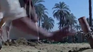 Сподвижники Пророка Мухаммада ﷺ