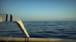 ГУЛЯШ ИЗ ЖЕРТВЫ//Серийник из Японии//Футоши Мацунага