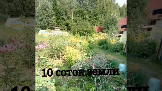 Отличная дача на Острове!!!