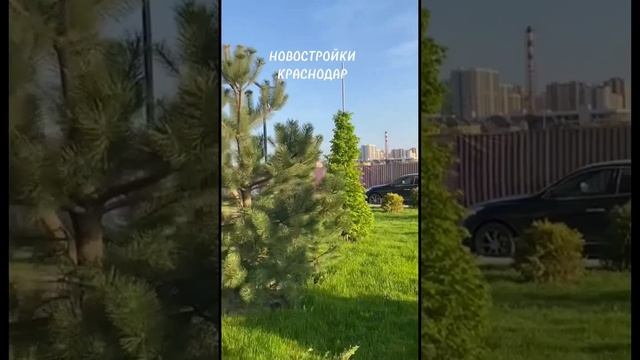 Краснодар квартира в новостройке от застройщика, купить квартиру #краснодар #квартира #недвижимость
