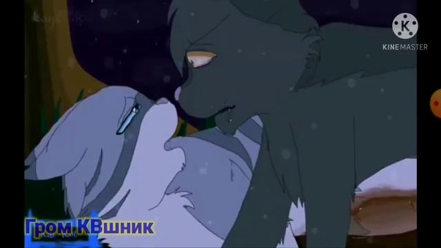 Коты Воители| Крутобок и Серебрянка| •Фея• |