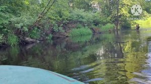 Катушка выпала из рук. Рыбалка на спиннинг.