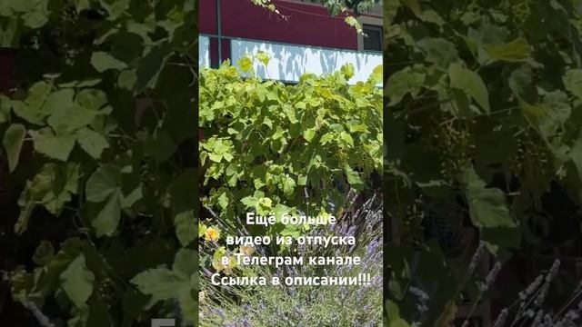 Немного природы из отпуска Счастье Есть #счастьеесть