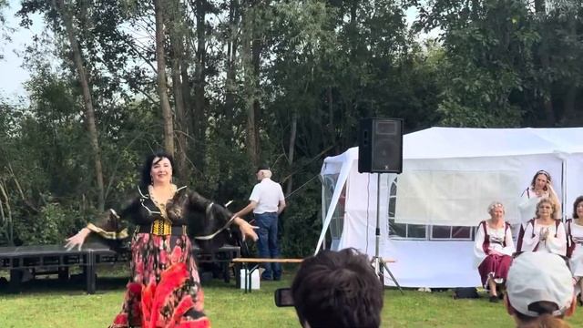 ЭСТОНИЯ. Концерт в маленьком поселке В пригороде Таллинна