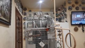 Вечерняя разминка.mp4