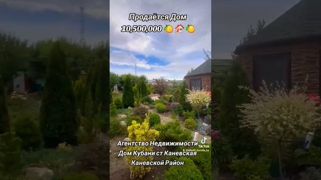 Агентство Недвижимости ст Каневская Каневской Район Краснодарский Край