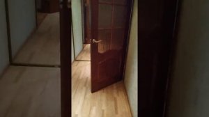 Сдам двухкомнатную квартиру