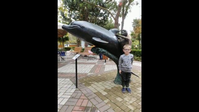 Дети Донбасса. Евпатория, октябрь 2022 смотреть онлайн