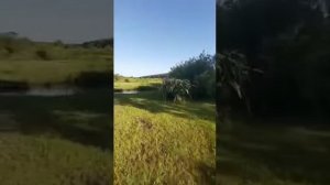 Дом в .п Минеральный , Уссурийск