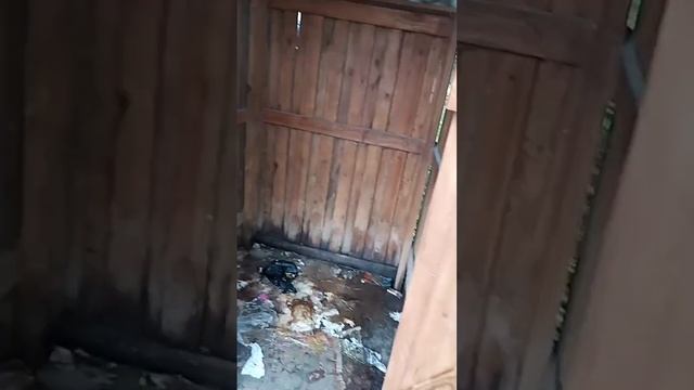 Забытые поселки Урала 🛑"Забитый" Тугулым".