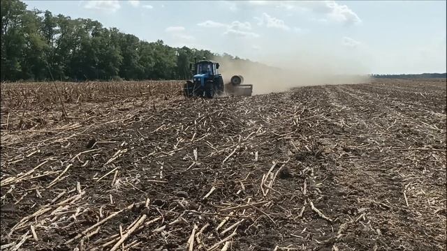 12.21 & Сириус по крупноплодному 🌻 смотреть онлайн