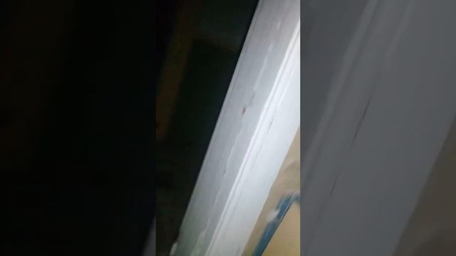 Заброшенная школа в г.Олонец