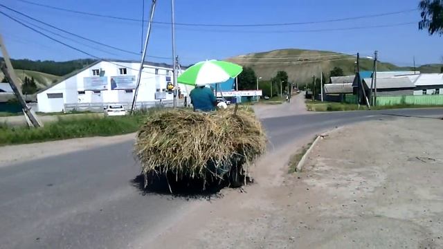 Такси в Бавлах смотреть онлайн