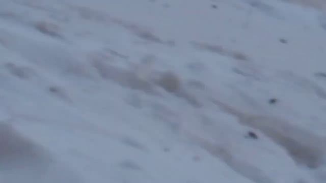 Жесть, коллекторов поймали, народный суд?! Справедливость воссторжествовала!!! смотреть онлайн