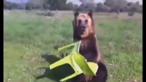 Что думают американцы про русских