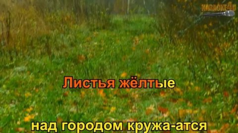 Листья желтые Самоцветы Караоке
