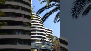 Черногория инструкция по переезду.