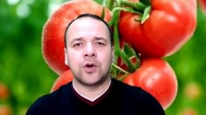 Томат "Премьера"- технология посева (Таджикском языке)